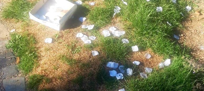 Netzwerk macht Müllsammelaktion