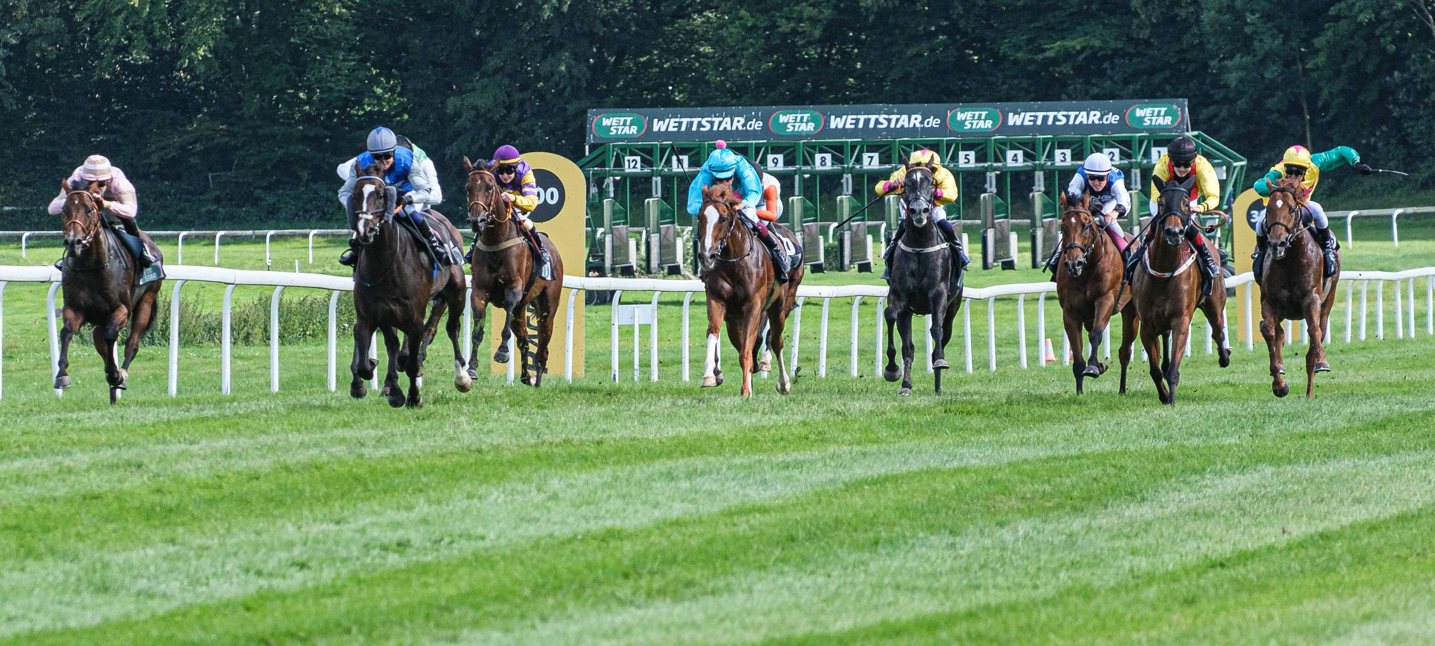 Renntag mit buntem Programm