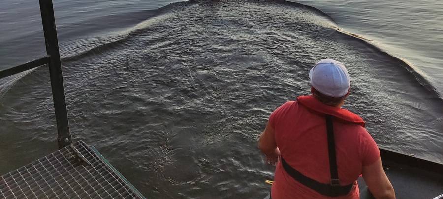 Feuerwehr rettet Schwan