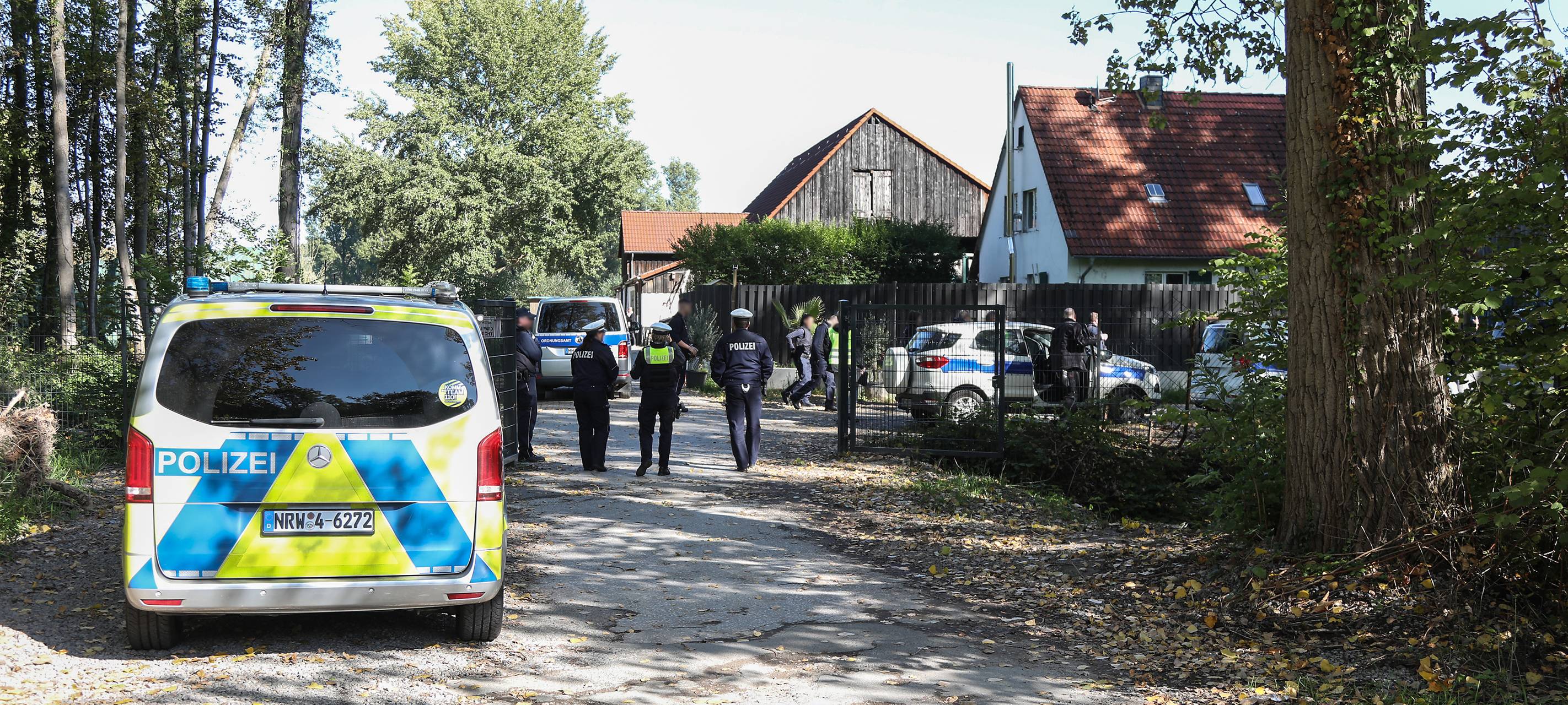 Immer noch Tiere auf dem Auehof