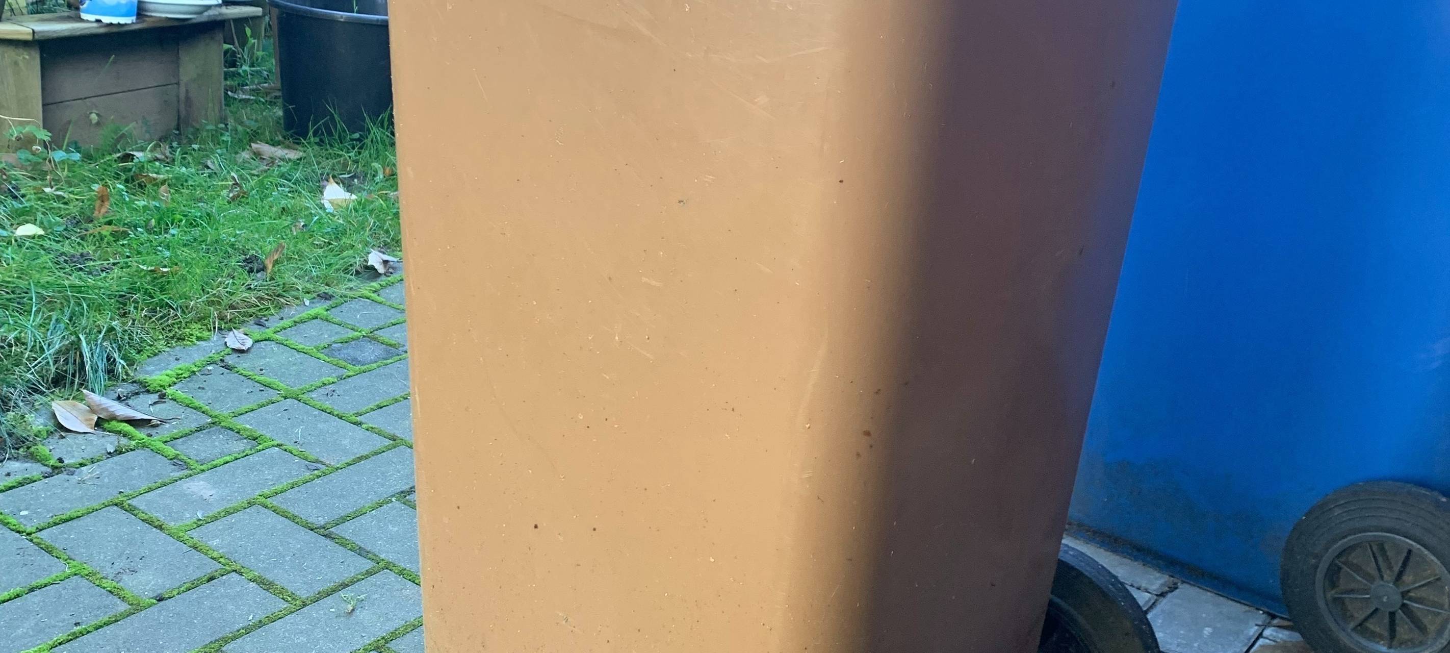 28-Tage-Biotonnen-Challenge