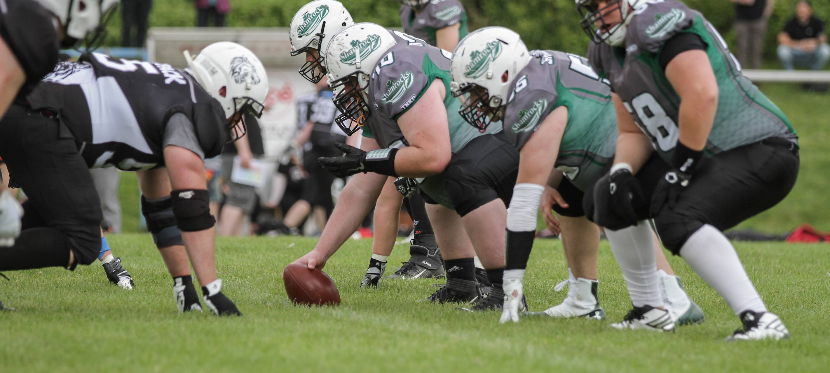 Shamrocks säubern Ufer der Ruhr