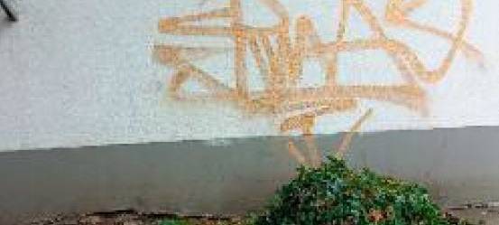 Festnahme: Sprayer sorgt für massiven Sachschaden