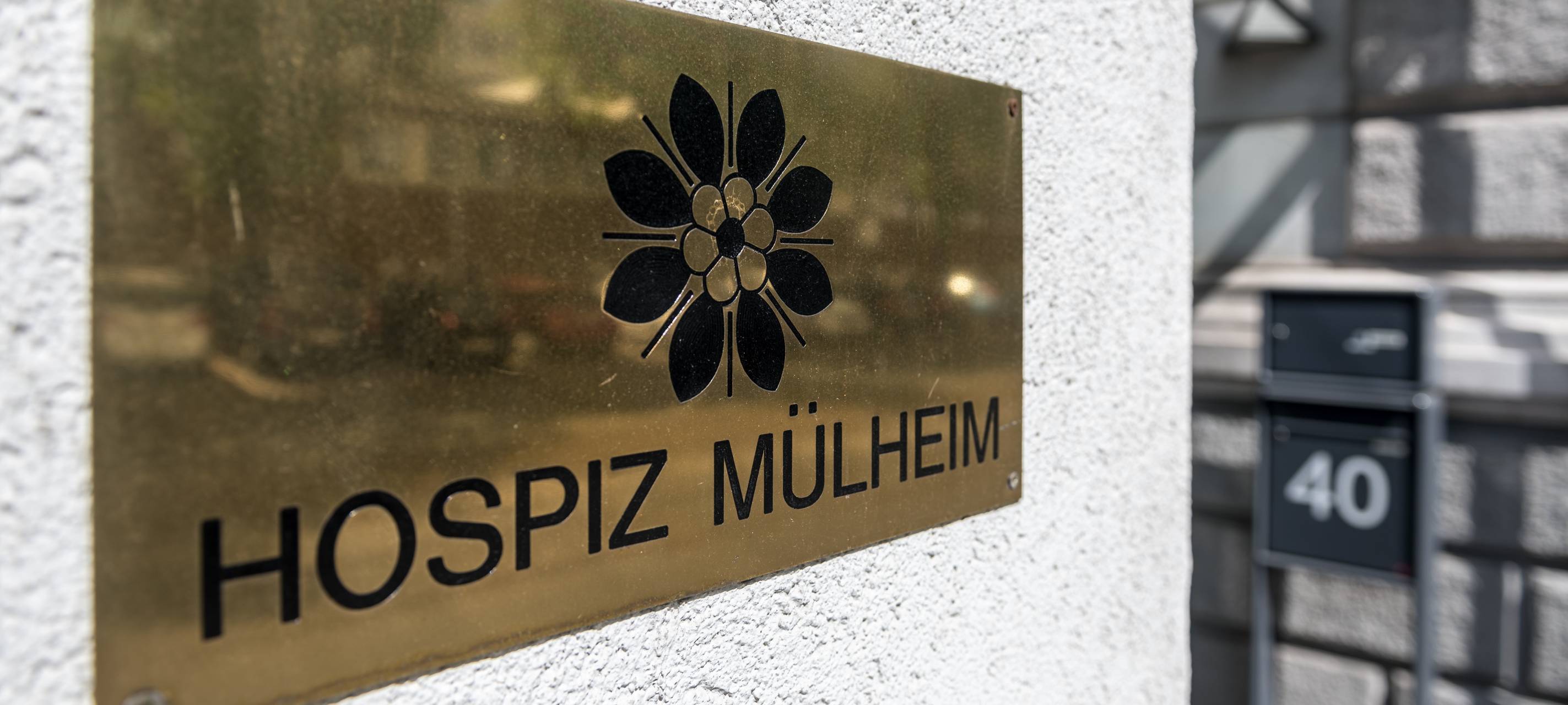 Infoabend: Ehrenamtlich im Hospiz arbeiten