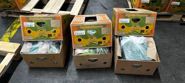 Drogen und falsche Produkte beschäftigen Zoll