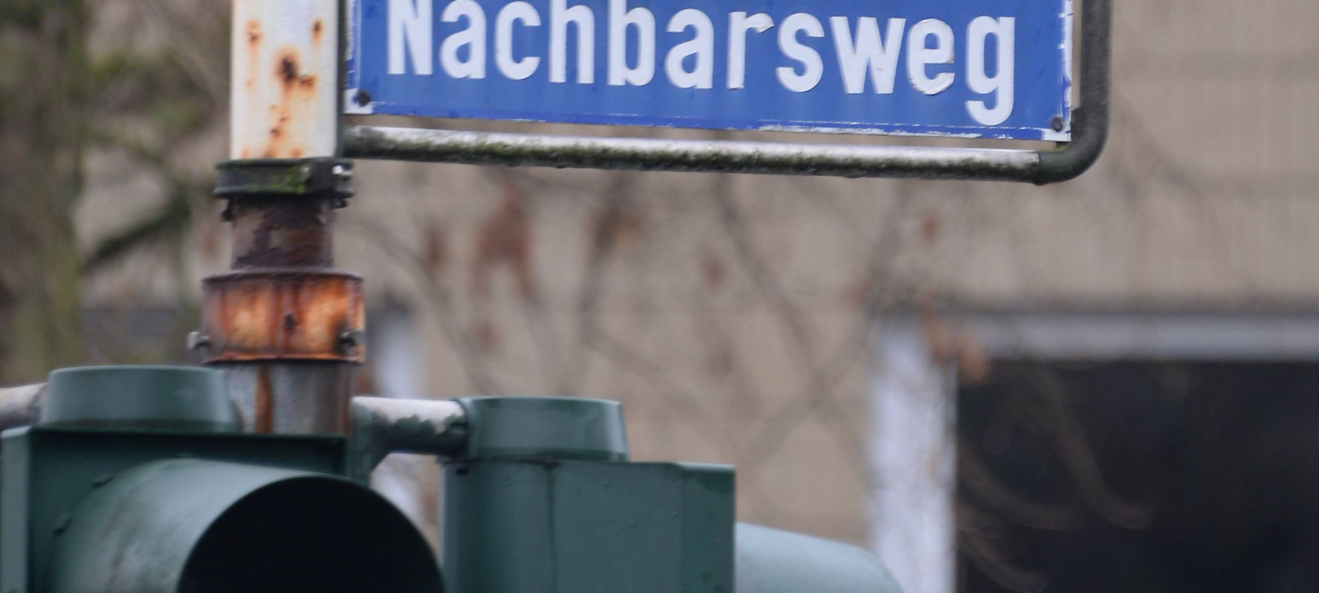 Stadt lässt Bäume am Nachbarsweg überprüfen