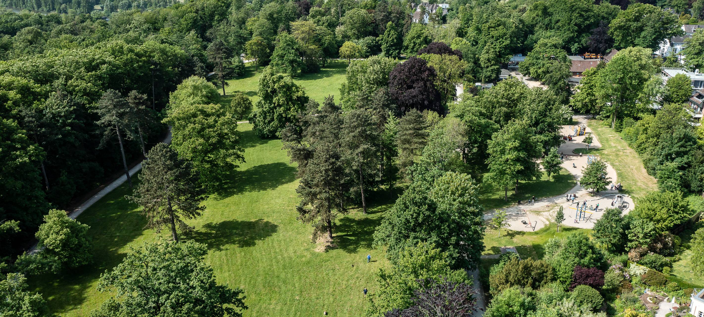 Woche der Baumpflege im Witthausbusch