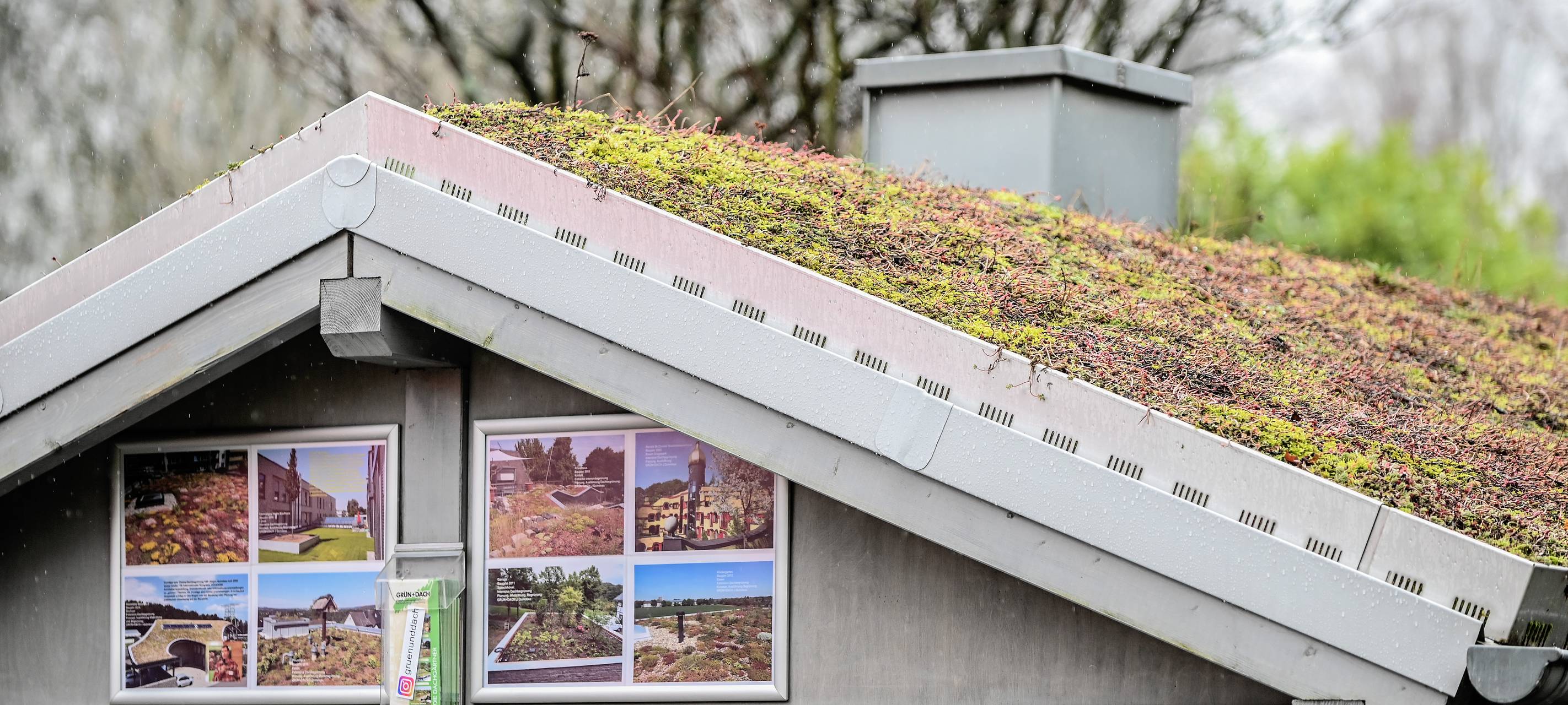 Jetzt noch Geld für grüne Dächer und Fassaden abrufen