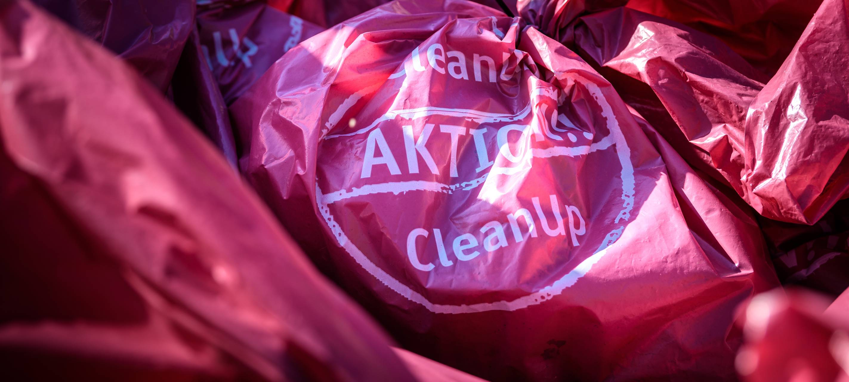 Teilnehmer für MEG-Clean-Up gesucht