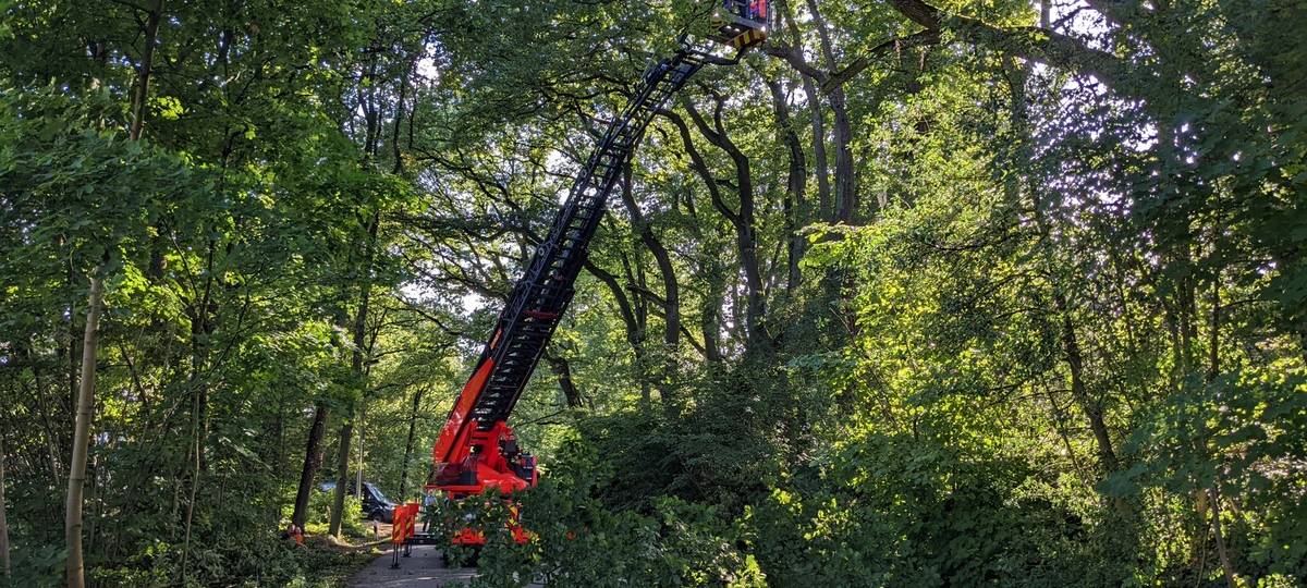 Ast blockiert Großenbaumer Straße