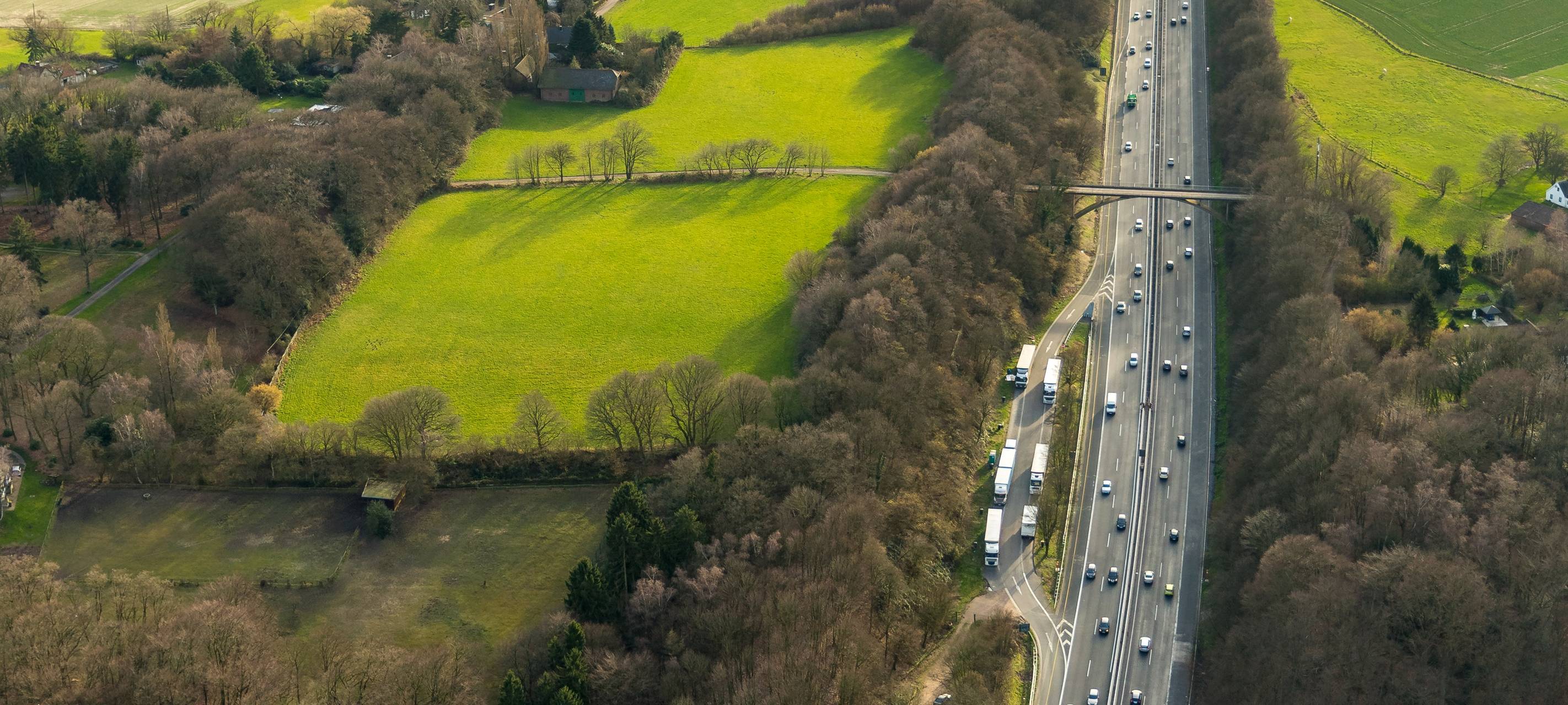 RVR pflanzt neue Bäume am Auberg
