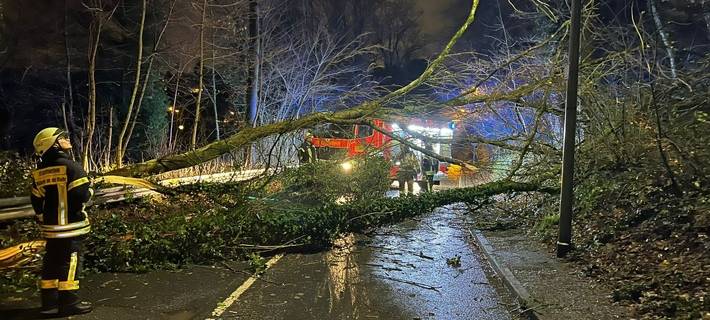 "Zoltan" knickt mehrere Bäume um