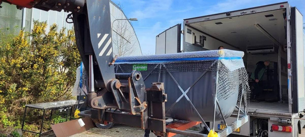 Riesenfische schreiben Zoogeschichte