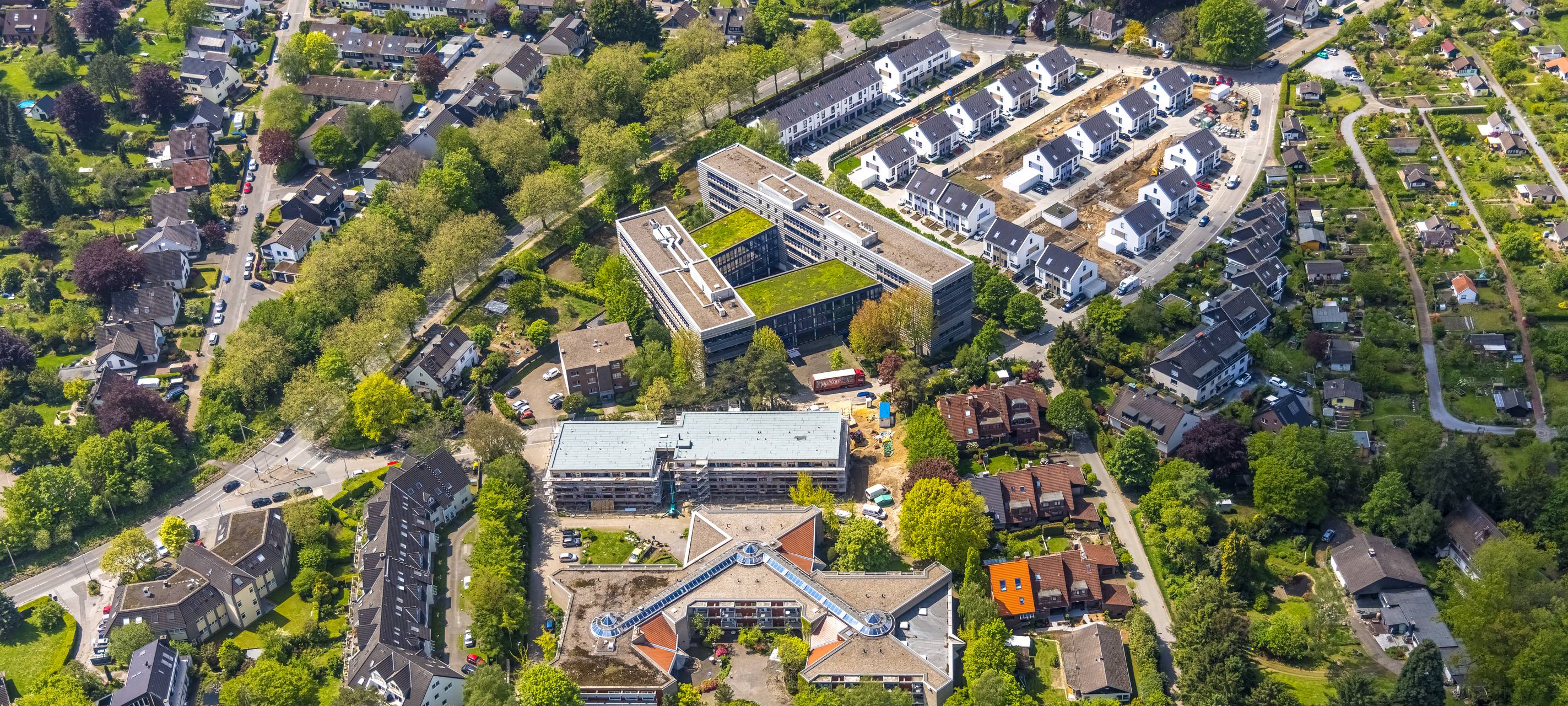 Pilz befällt Naturdenkmal - Baum wird gefällt