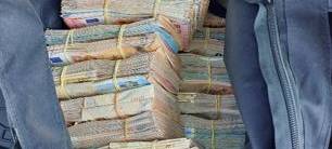 Einreisekontrolle: Halbe Million Euro in einer Reisetasche