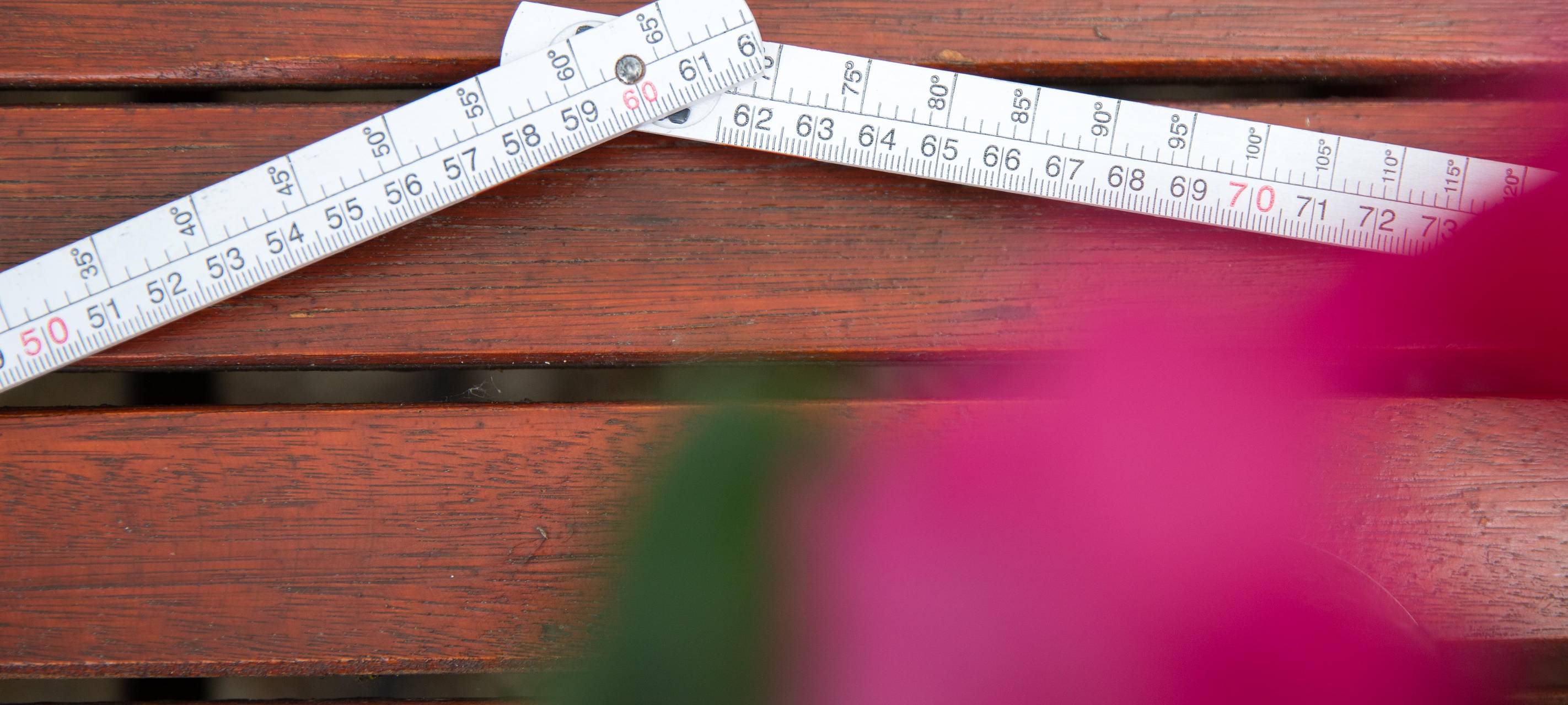 Wohnfläche vergrößert sich