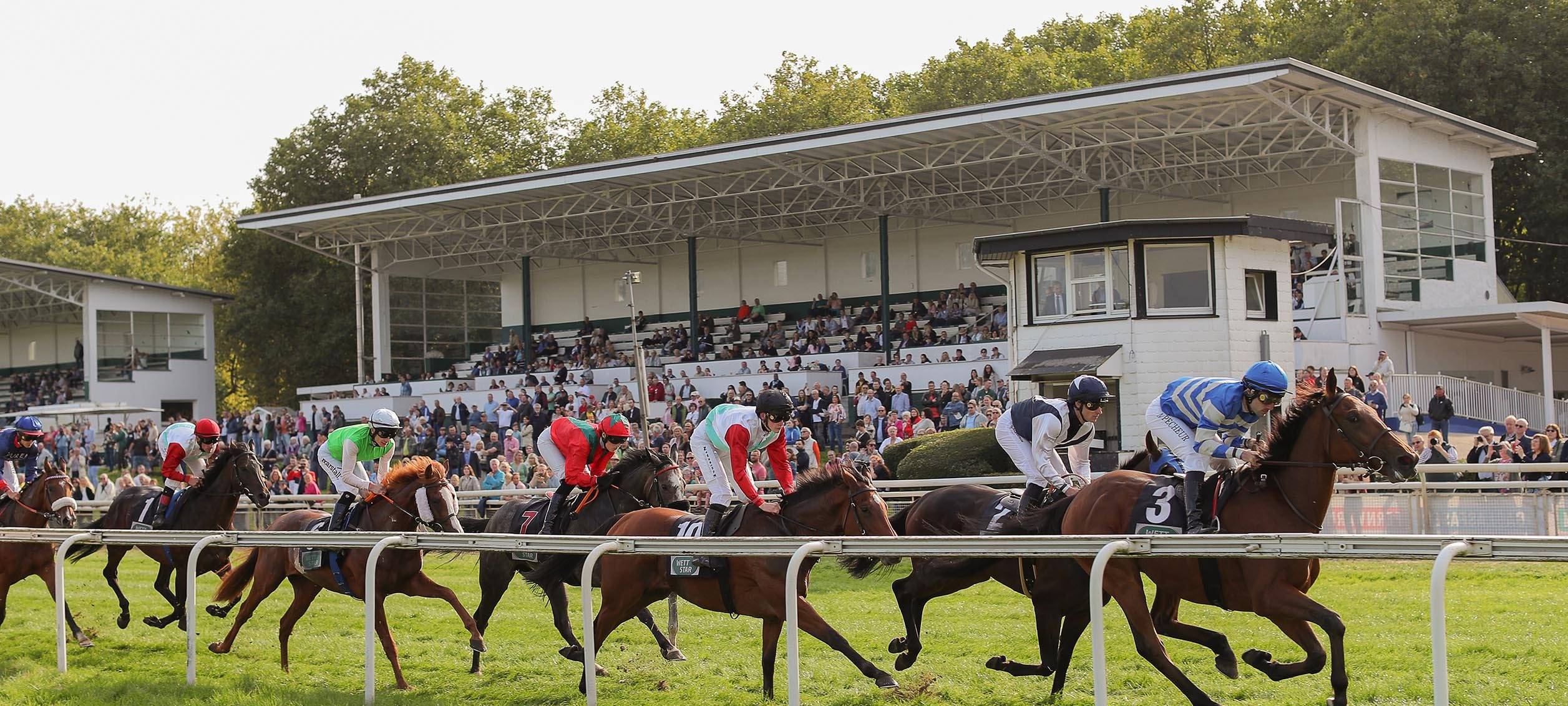 Sommerevent auf Galopprennbahn