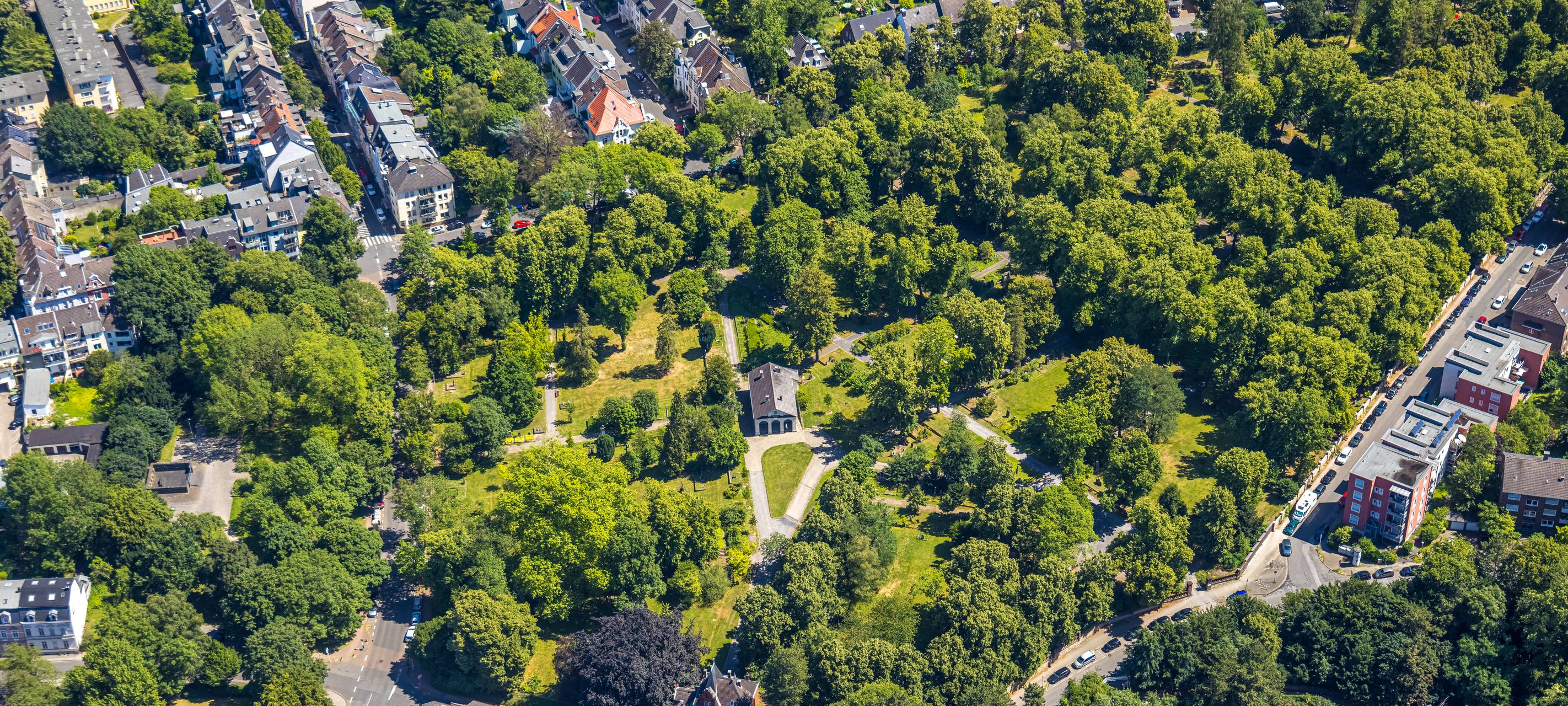 Große Traueresche wird heute gefällt