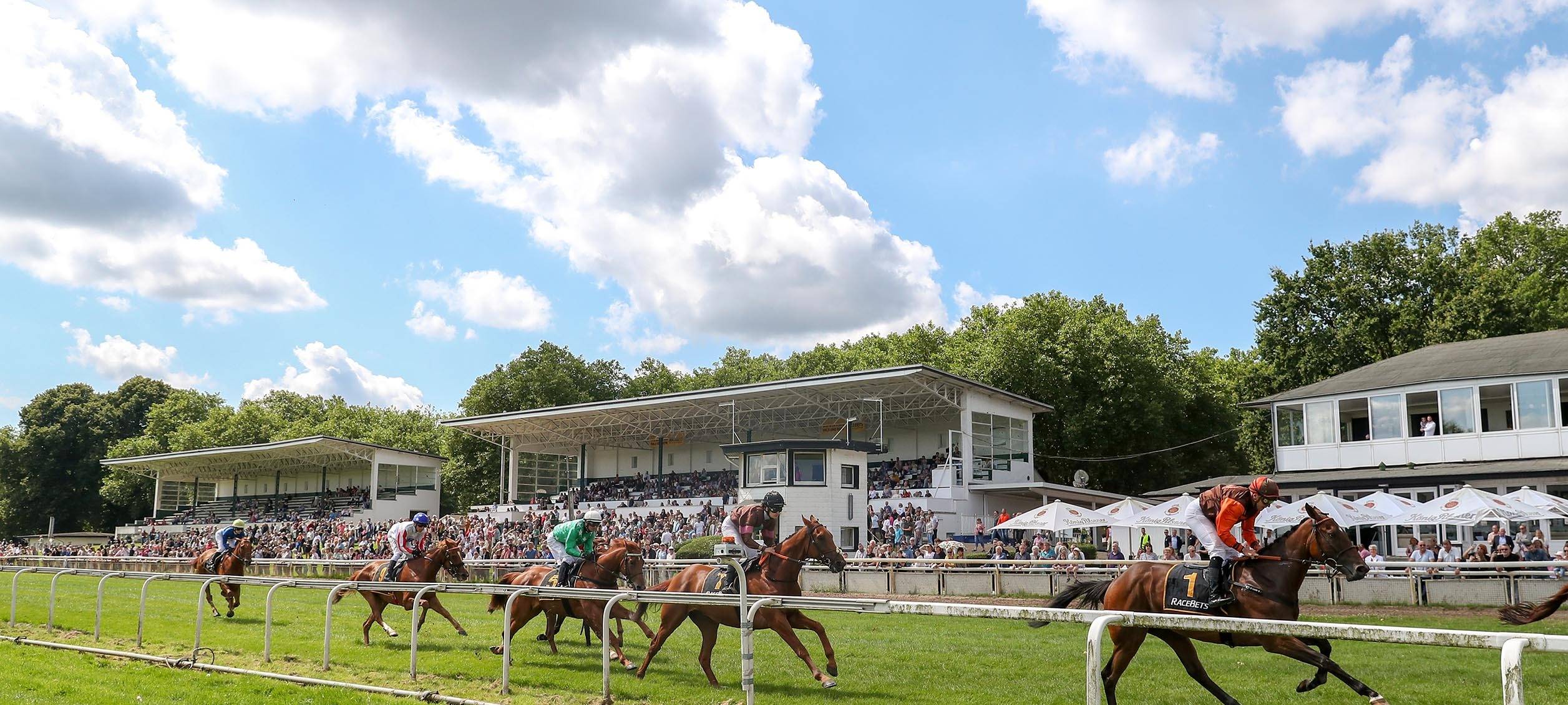 Acht Galopprennen am medl-Renntag