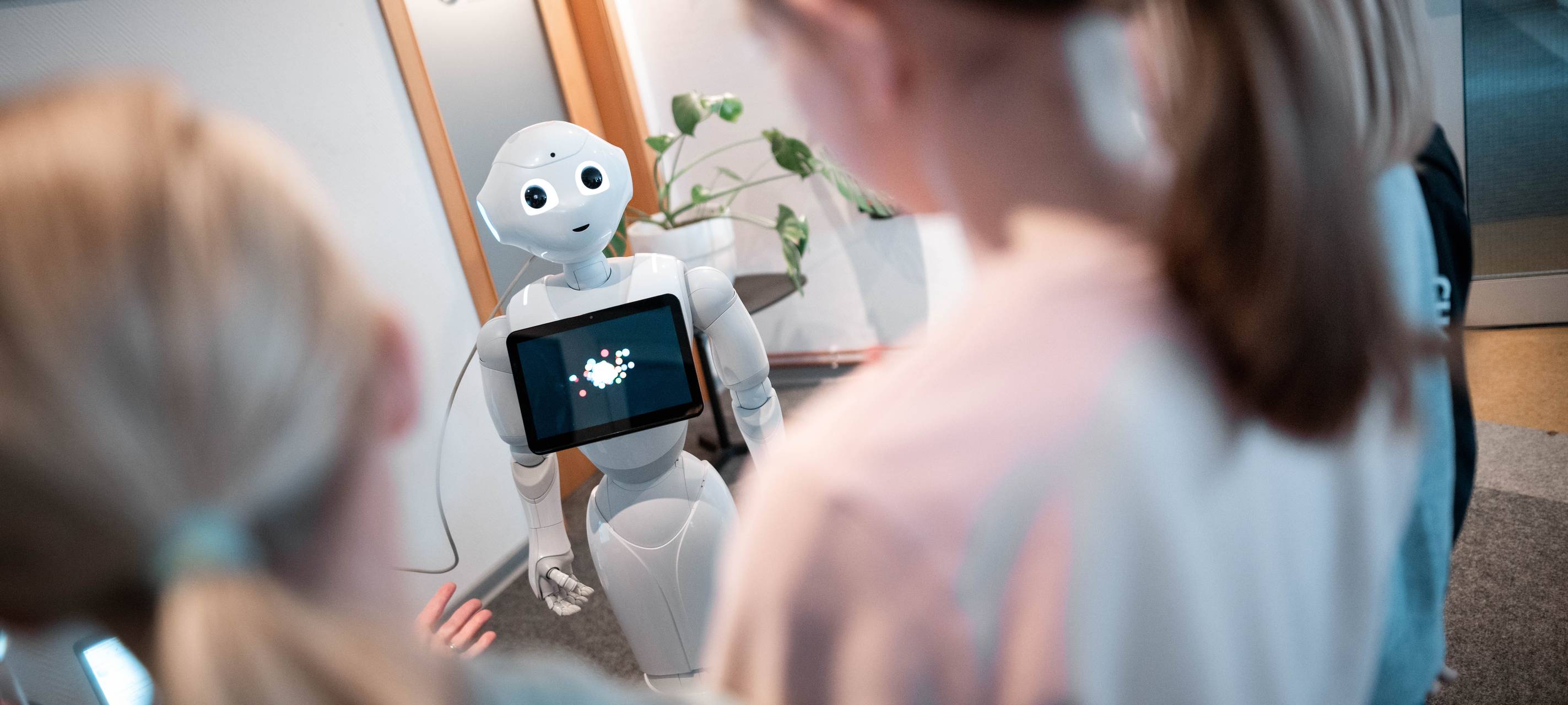 Junior Uni: Gläubiger nehmen Vorschlag an