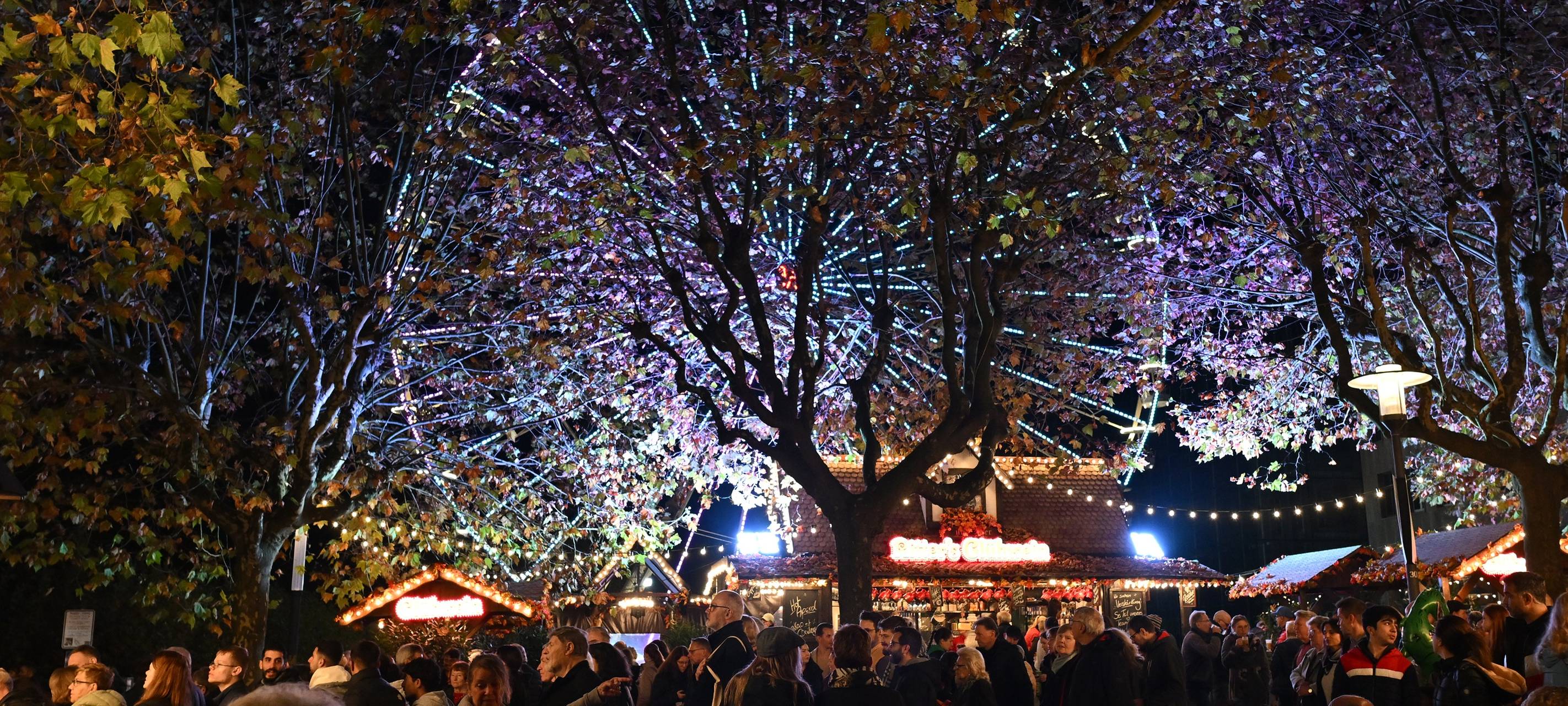 Lichtwochen zum Start in dunkle Jahreszeit