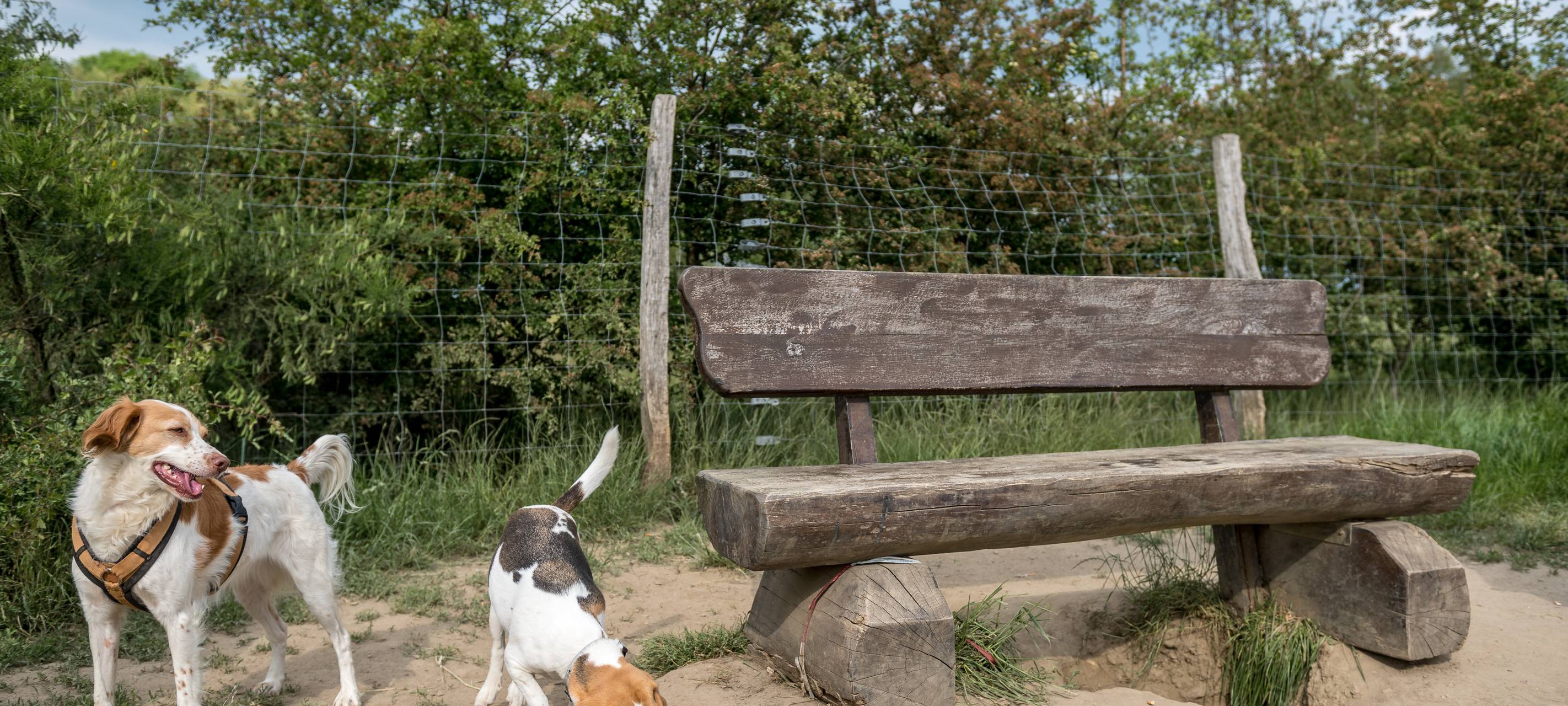 RVR zieht neuen Zaun am Auberg hoch