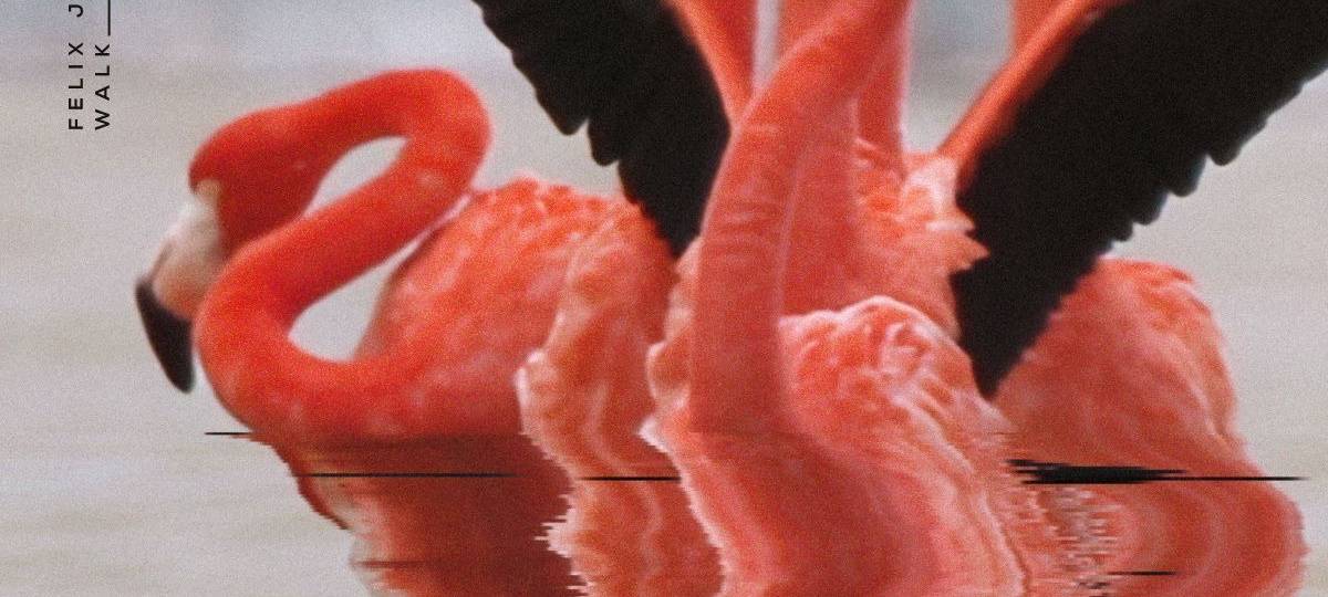 Felix Jaehn & Shouse - Walk With Me