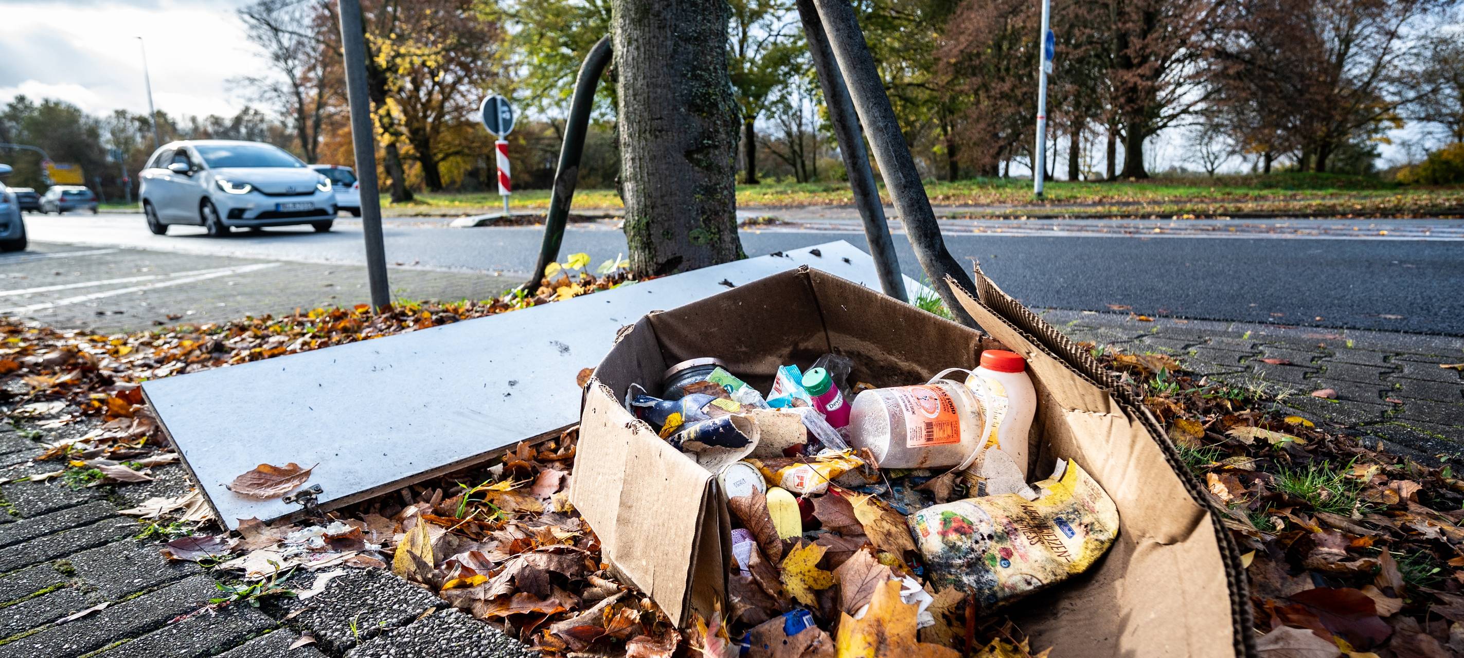 Wilde Müllkippen kosten die MEG viel Geld
