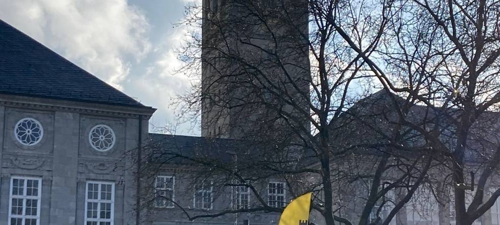 Feiern statt Reihern