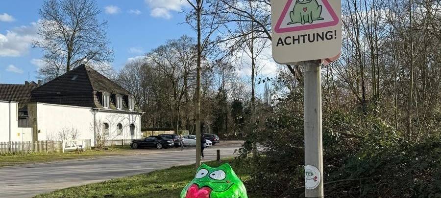 Künstler wollen Kröten schützen