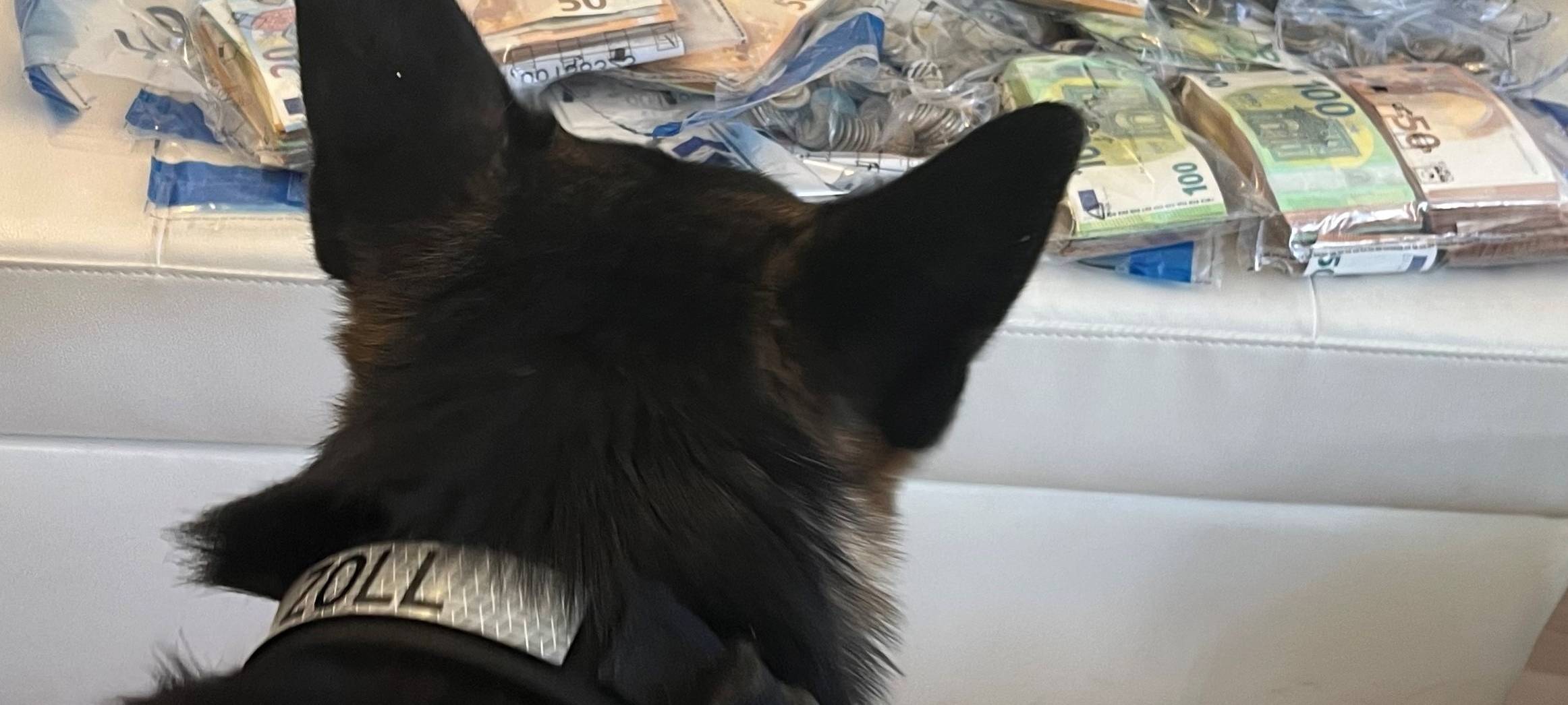 Zoll: Großer Schlag gegen Zigaretten-Bande