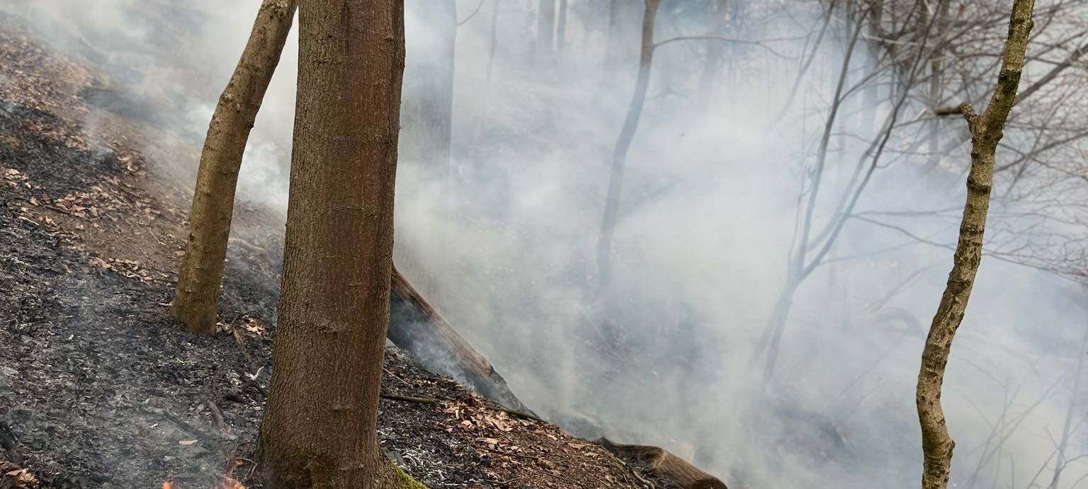 Hohe Brandgefahr im Mülheimer Wald