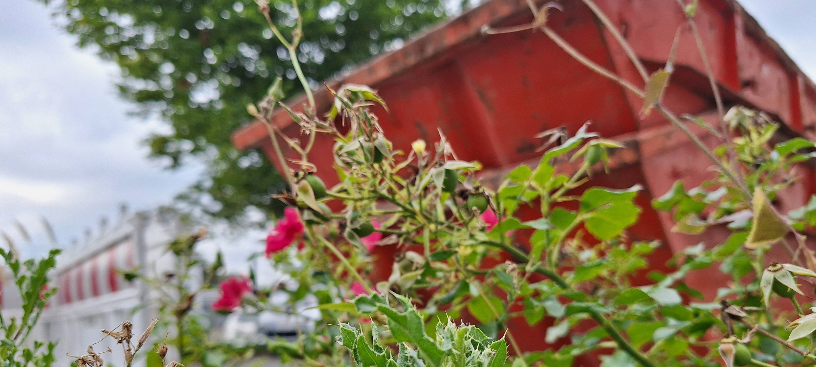 Umweltskandal: Razzia im Ruhrgebiet