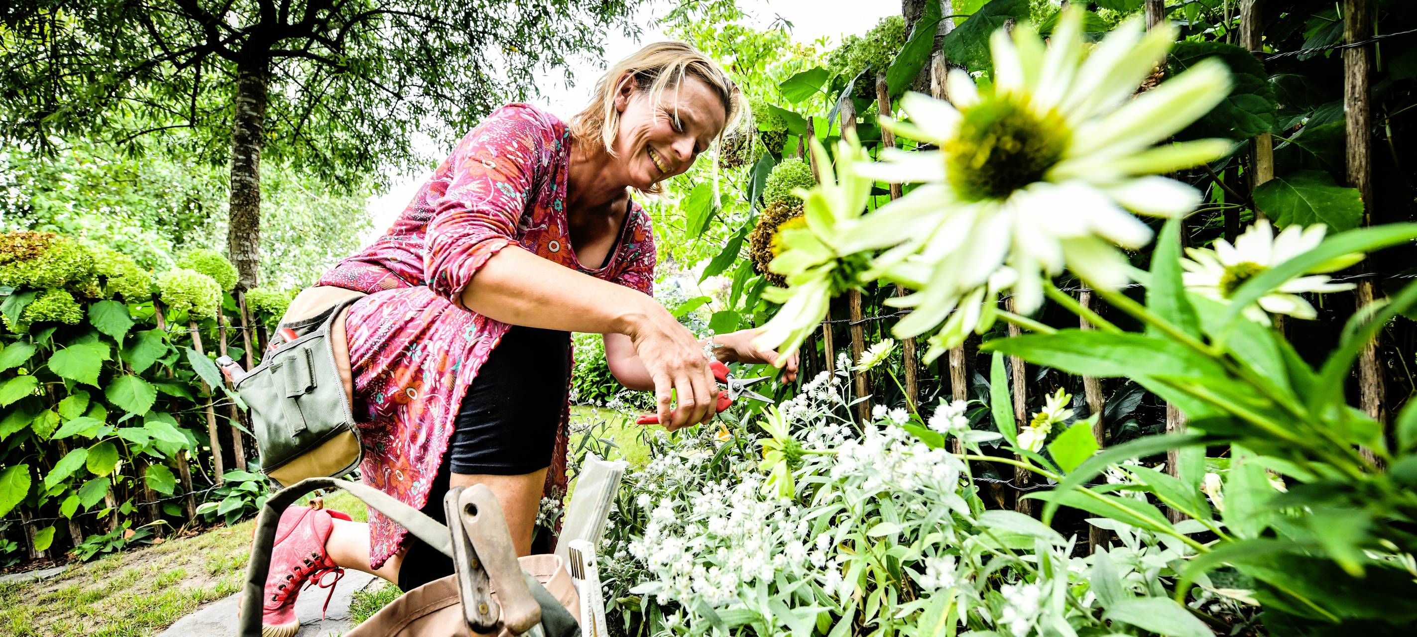 Jetzt anmelden für Tag der offenen Gartenpforte