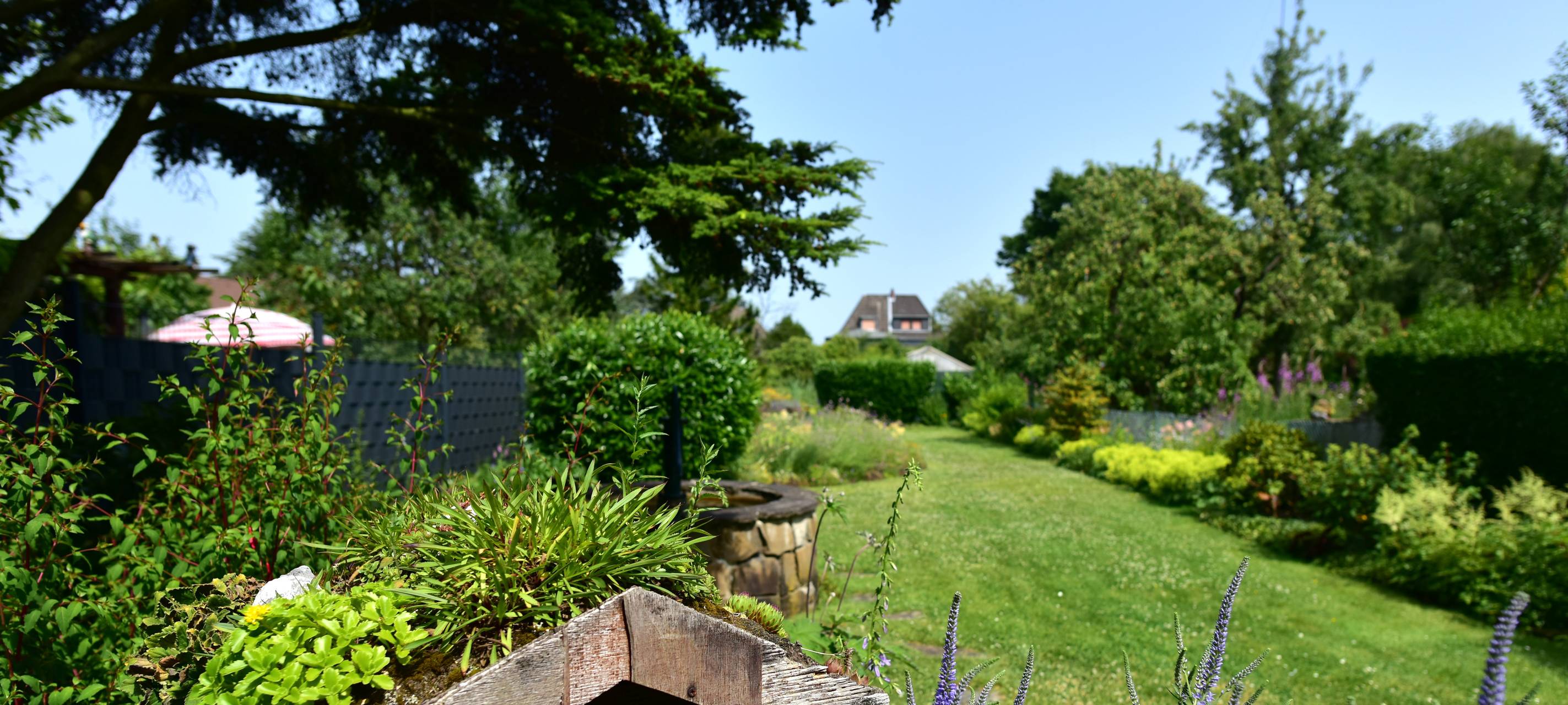 Historische Siedlung: Pläne liegen aus