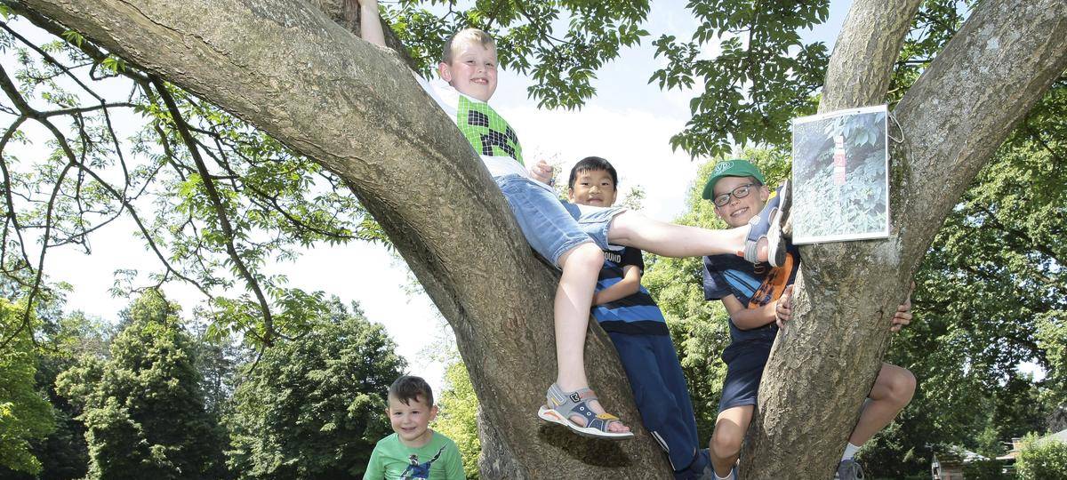 Jetzt anmelden: Sommerferienspiele 2025 in Mülheim