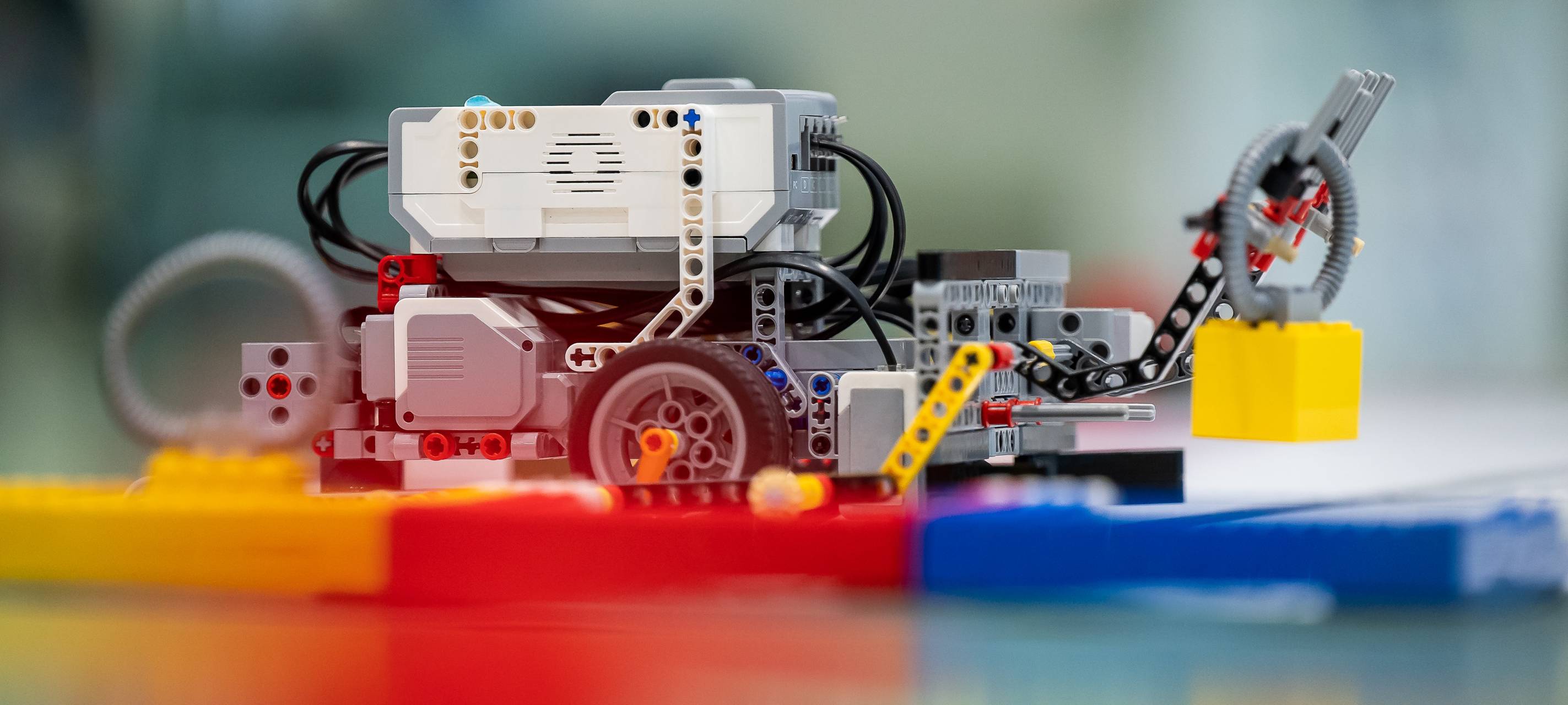 Großes Finale: Wer kreiert die besten Roboter?