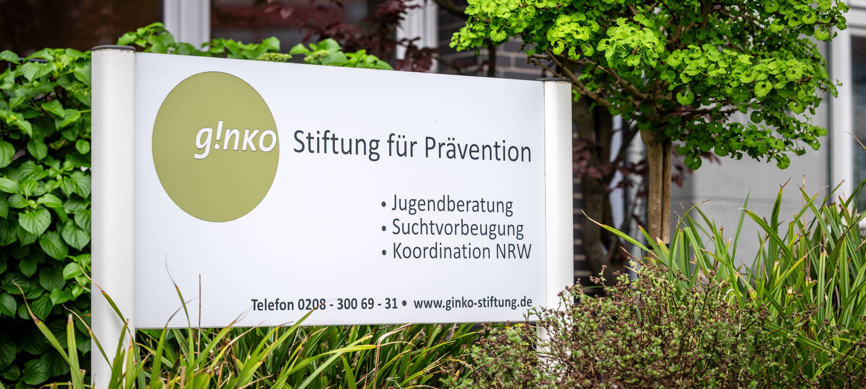 ginko Stiftung: Unterstützung zum Schulstart