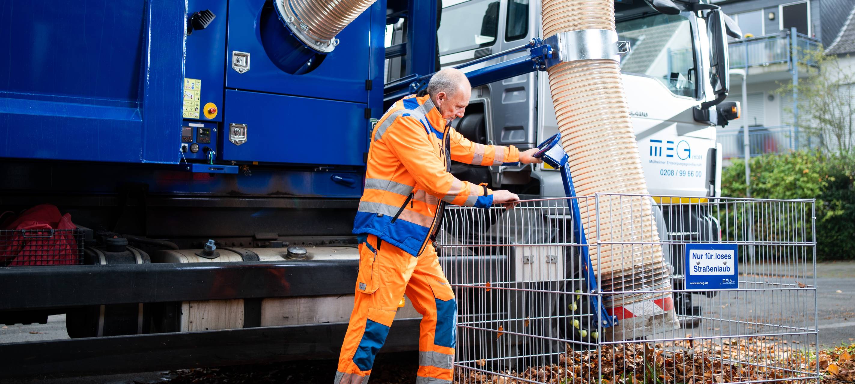 MEG: Erneut mehr Standorte für Laubboxen