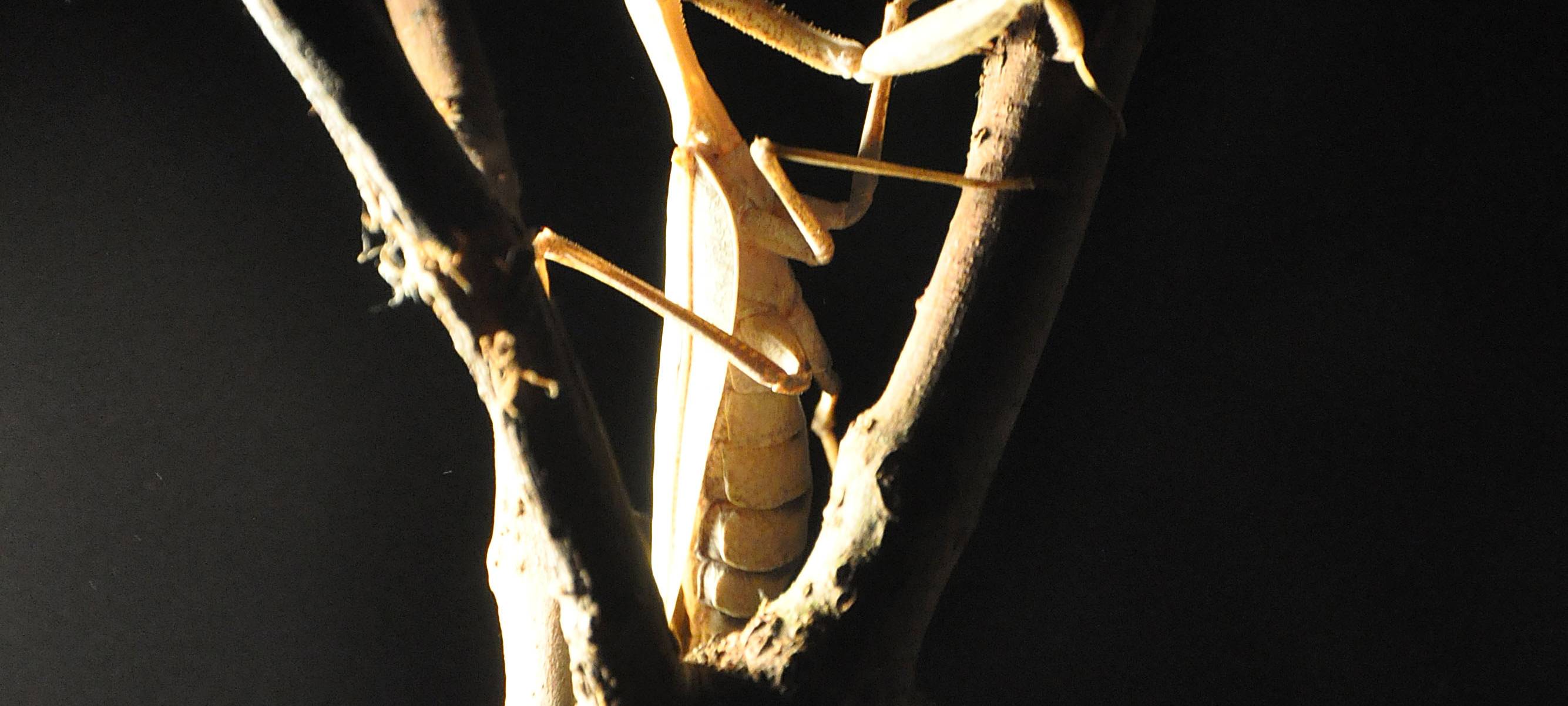 Endlich Herbstferien! Unsere besten "Raus-in-den-Herbst-Tipps"