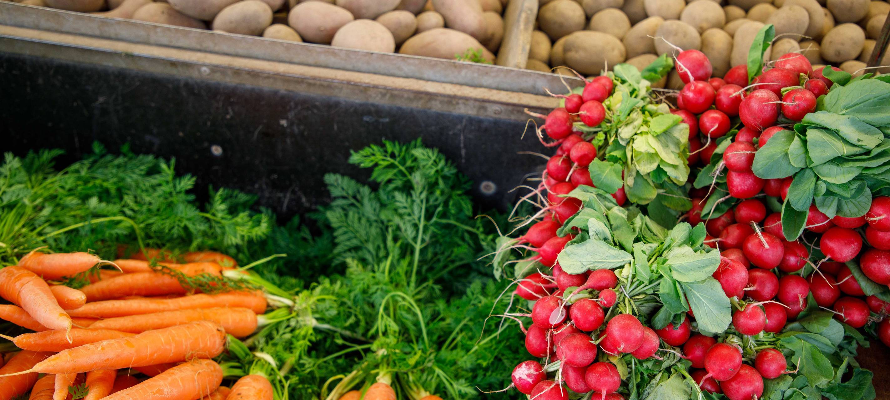 Endlich Herbstferien! Unsere besten "Raus-in-den-Herbst-Tipps"