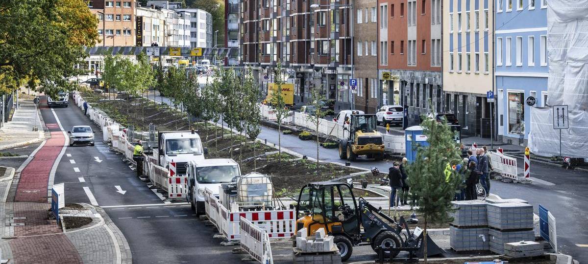 Dickswall: neue Grüninsel bekommt Pflanzen