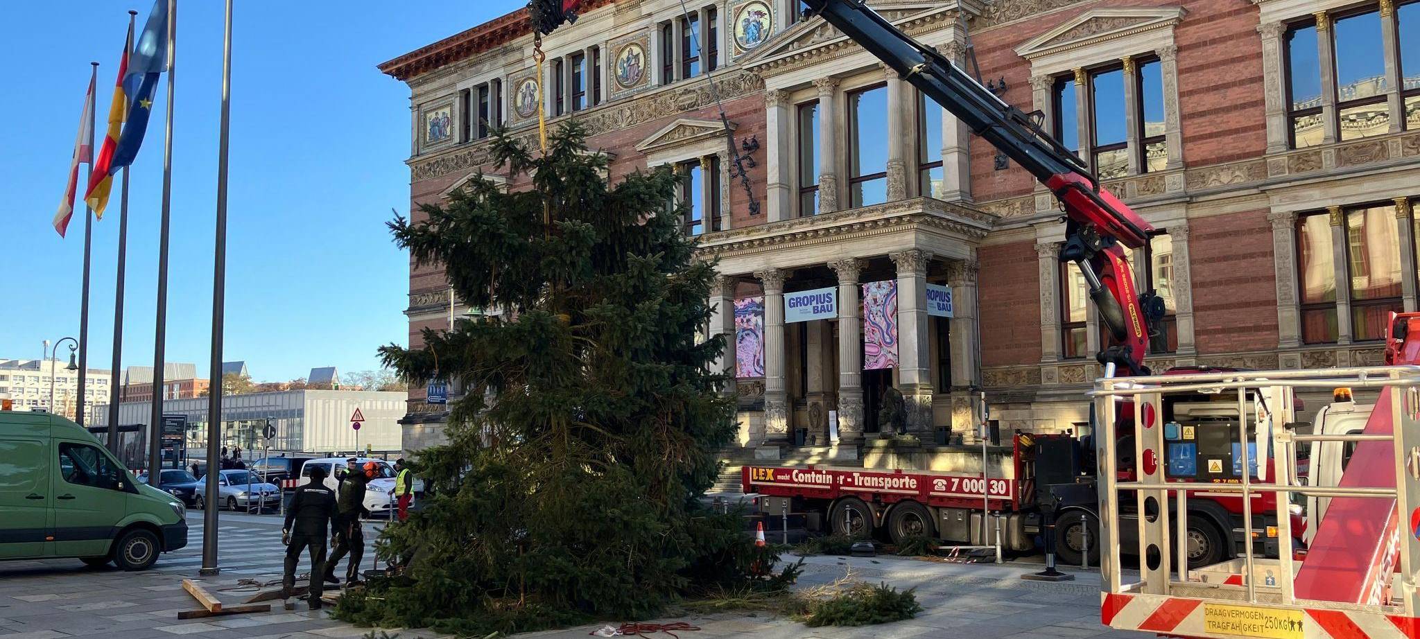 Weihnachtsbaum vor dem Abgeordnetenhaus aufgestellt