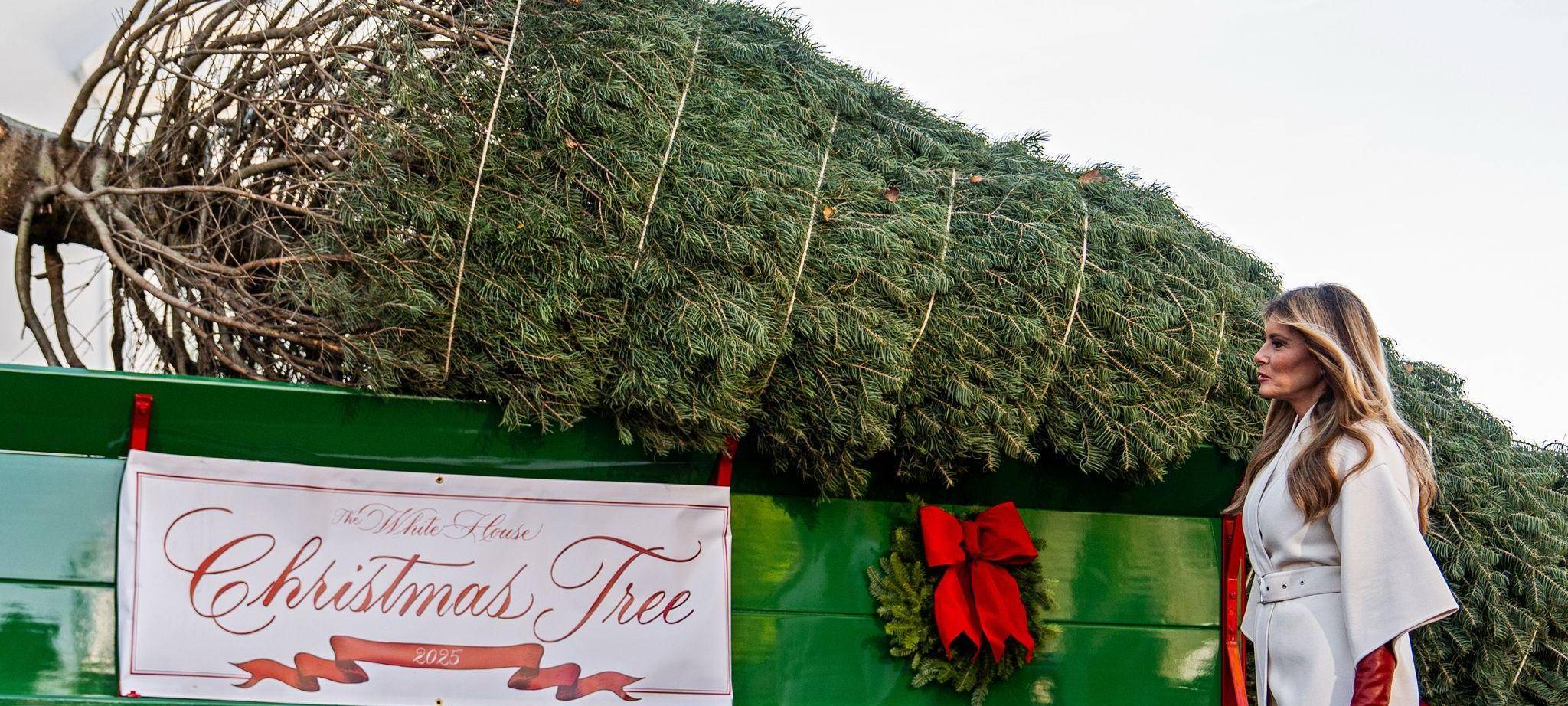 Ankunft des Weihnachtsbaums im Weißen Haus