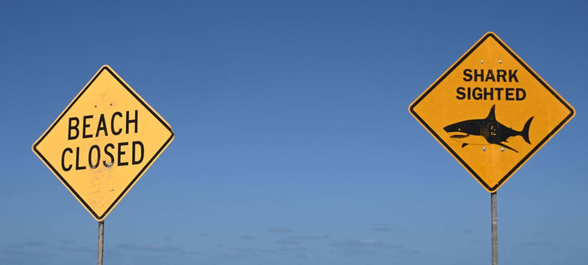 Tödlicher Hai-Angriff vor australischer Ostküste