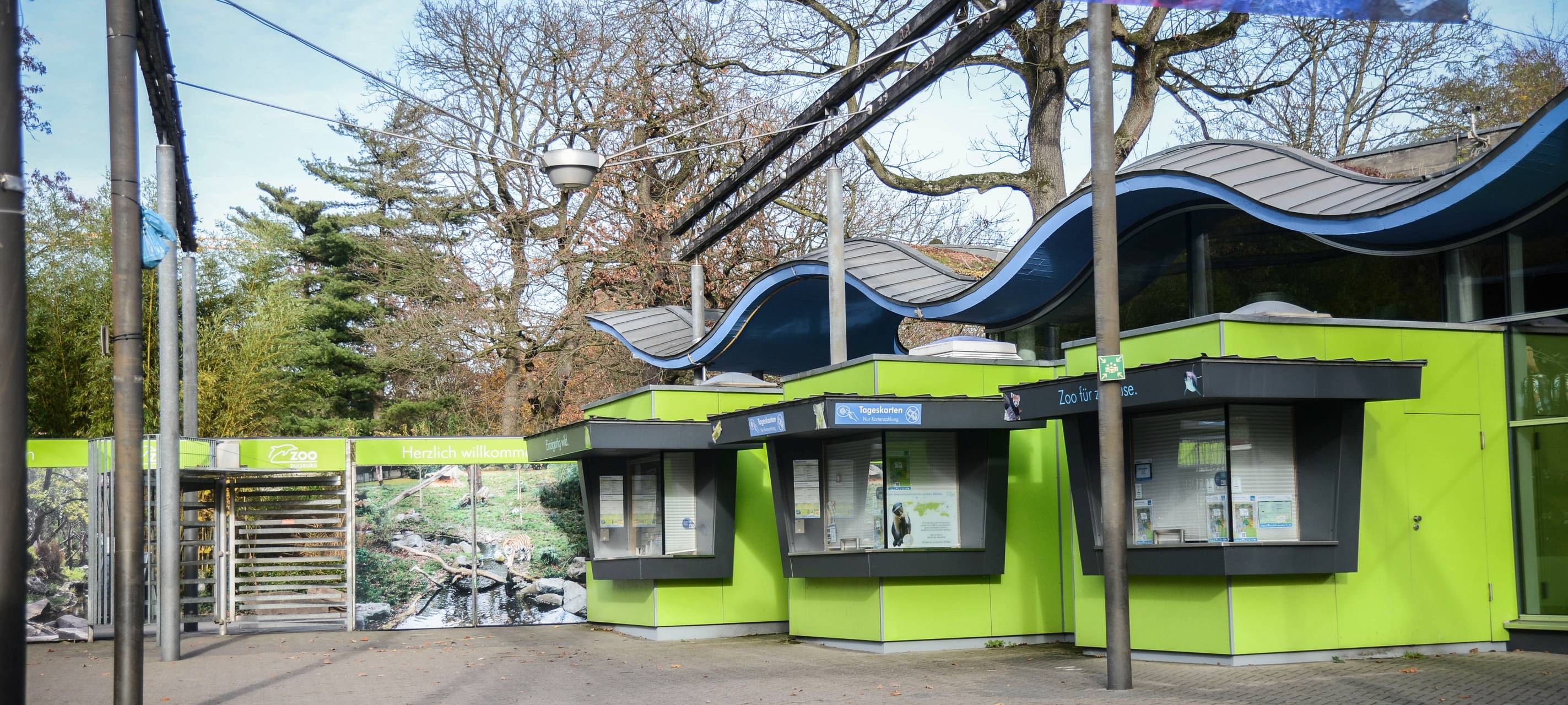 Zoo Duisburg baut neue Anlage für Zwergflusspferde