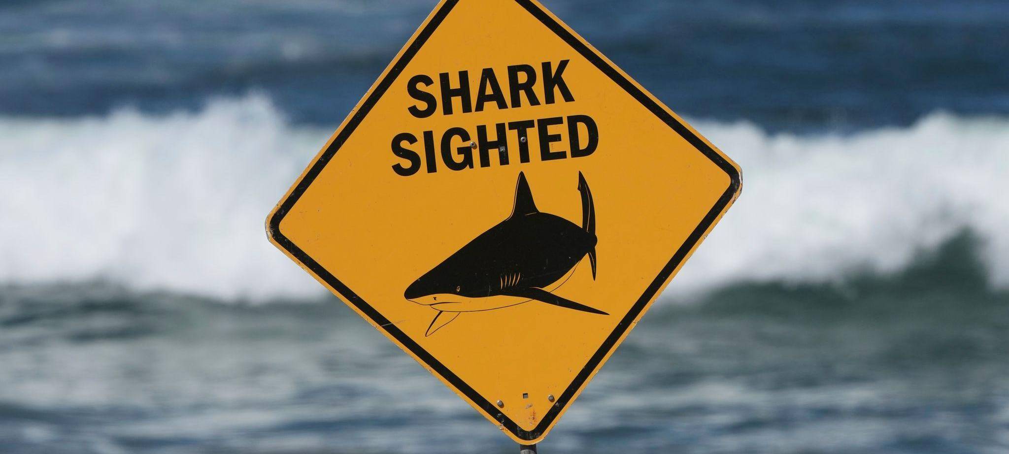 Haiattacke in Australien