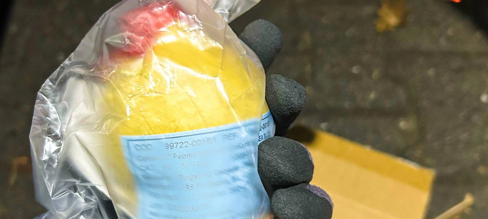 Zoll warnt vor illegalem Silvester-Feuerwerk