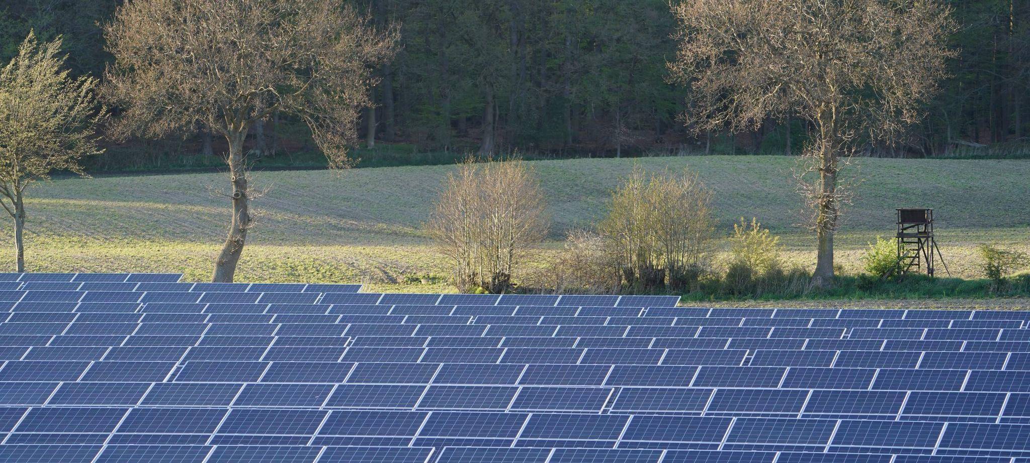 Studie: Klimaziel 2025 erreicht, aber nur wenig CO2 gespart