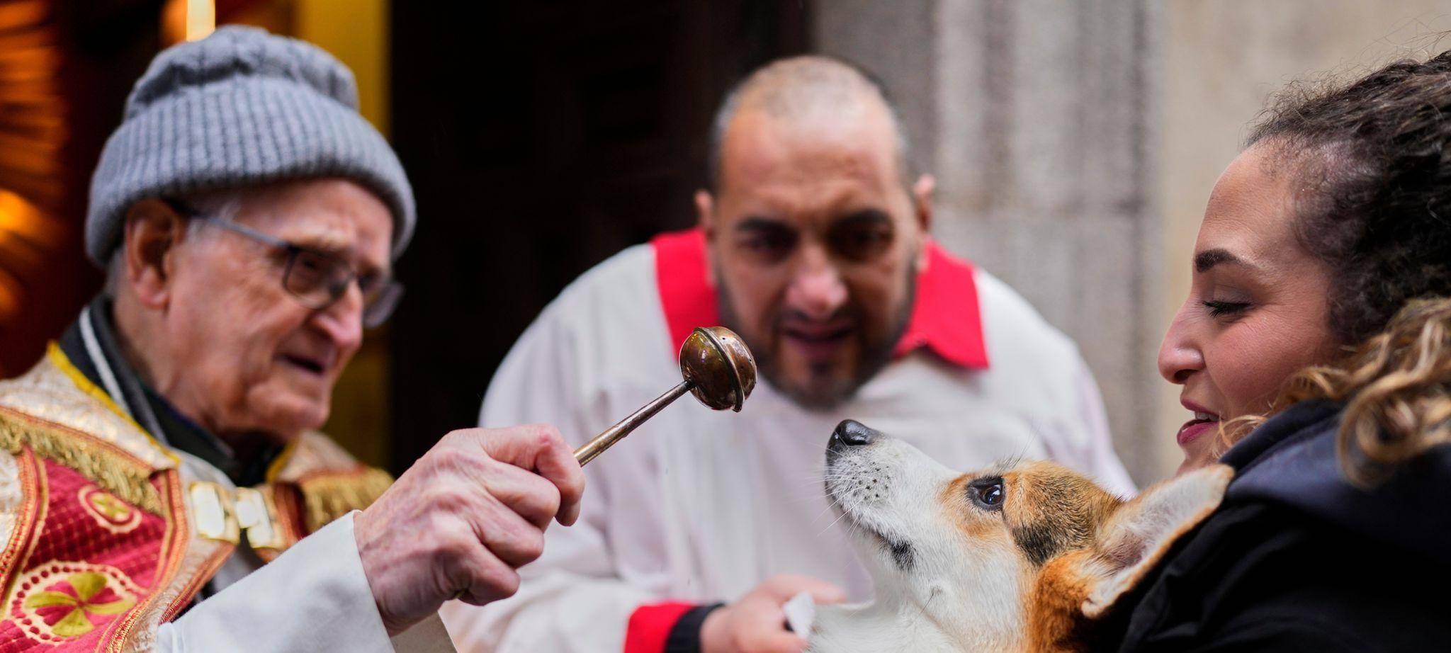 Tiersegnung in Madrid